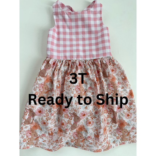 3T RTS Cotton Poplin Sundress